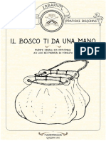 Il Bosco Ti Da Una Mano Piante Edibili Ed Officinali