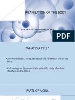3 - Cellular Organization of The Body