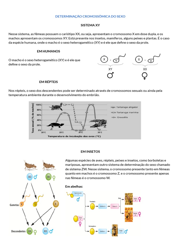 Biologia - Herança Genética | PDF