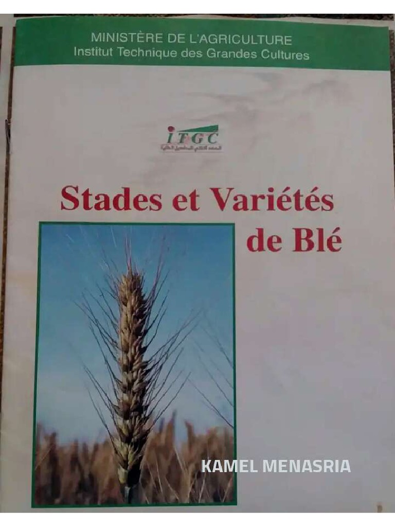 Stades Et Variétés de Blé | PDF