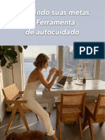 Definindo Suas Metas PDF 2