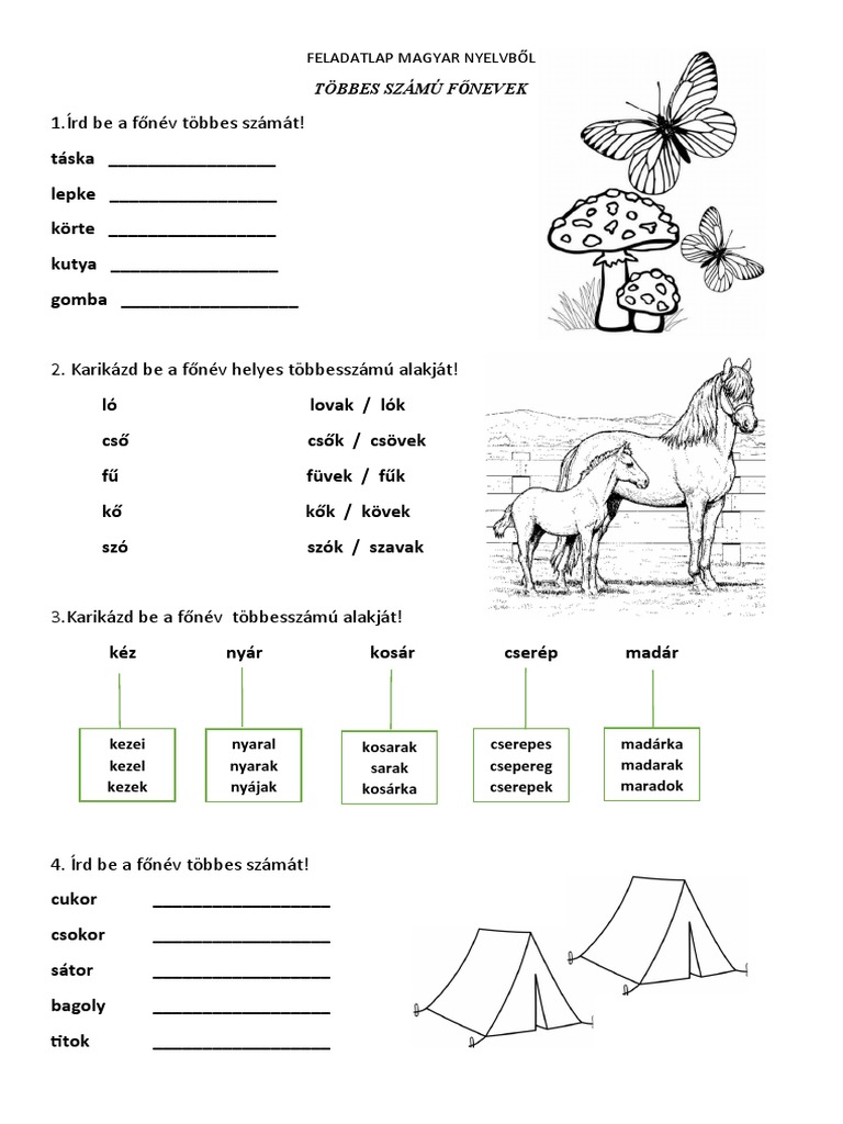 feladatlap-f-nevek-t-bbes-sz-ma-pdf