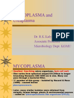 MYCOPLASMA UREAPLASMA LECTURE 2nd Prof MBBS 2012 Batch