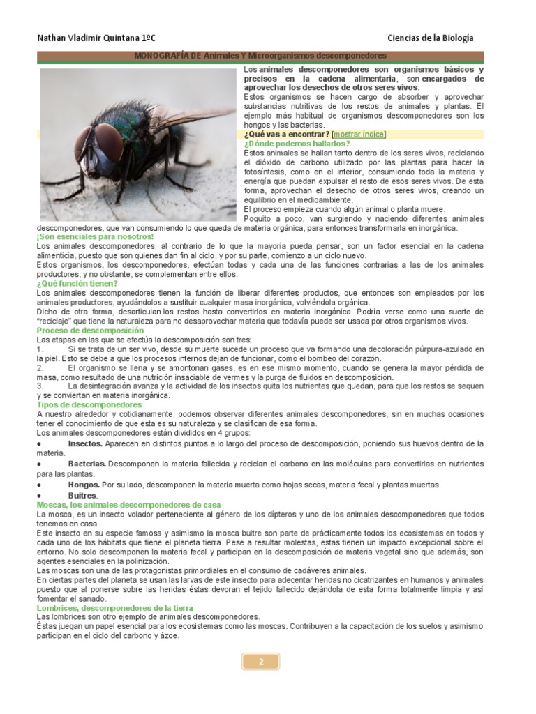 Animales Descomponedores | PDF | Descomposición | Mosca