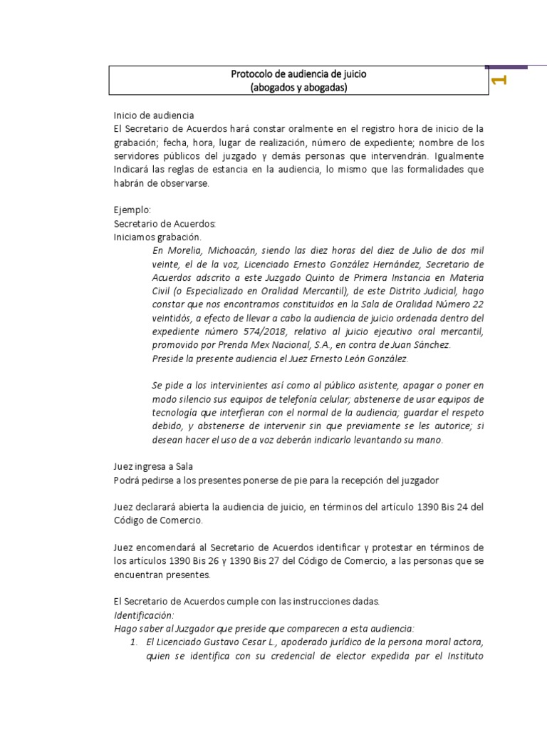 Protocolo de Audiencia de Juicio para Abogados y Abogadas | PDF ...