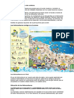 PDF Los Hidrocarburos en La Vida Cotidiana Compress