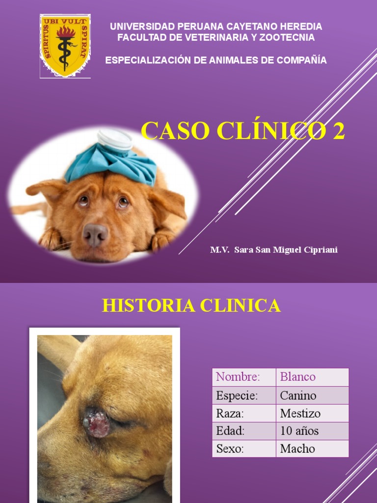 caso-2-pdf