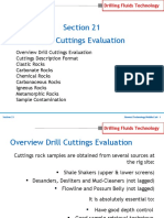 Section - 21 DRILL CUTTINGS EVALUATION