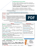 Resumos Geografia 2 Periodo