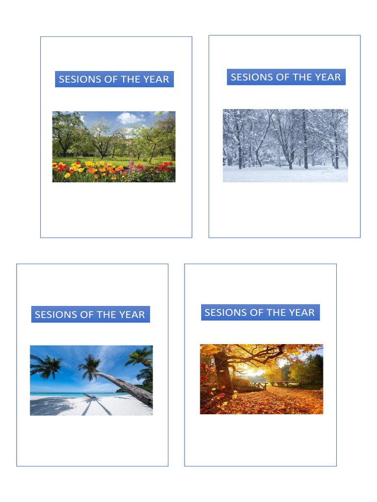 Flash Card | PDF