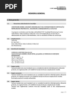 A4 (DTOE 1) Plan de Organizare A Execuției | PDF