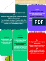 Mapa Conceptual Niif6