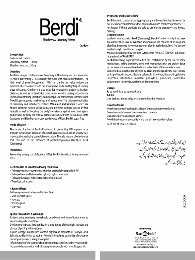 Berdi Insert Updated PDF