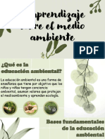 El Aprendizaje Sobre El Medio Ambiente