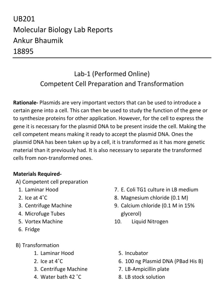 Ankur Bhaumik 18895 UB201 Molecula Biology Lab Reports PDF Gel