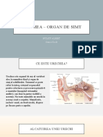 URECHEA – ORGAN DE SIMT