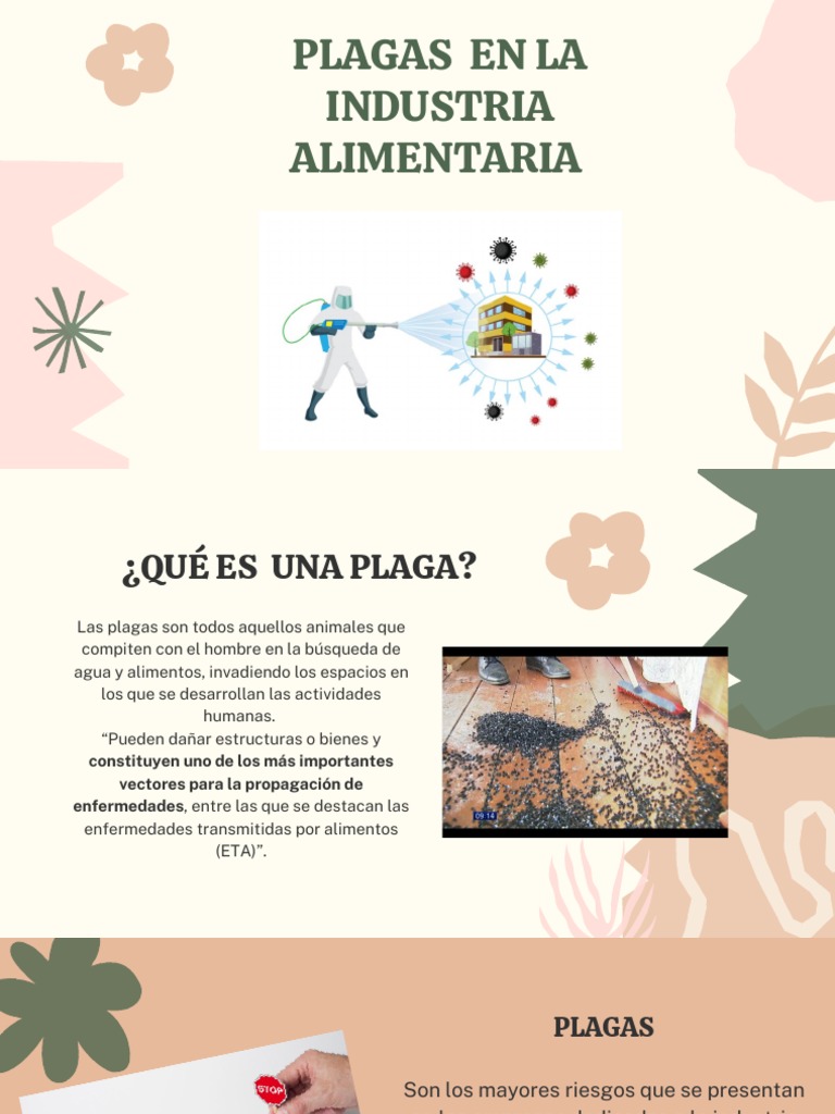 Tipos de Plagas en la Industria Alimentaria | PDF | Insectos | Alimentos