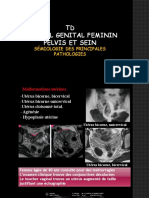 Radiologie TD Imagerie app geìnital feìminin.ppt