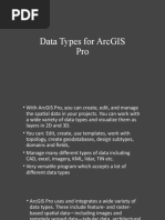 Data Types For ArcGIS Pro