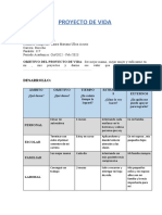 PROYECTO DE VIDA - Matriz