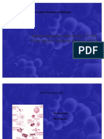 Algunos Conceptos de Histologia