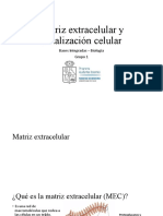 Matriz Extracelular y Señalización Celular