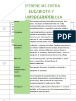 Diferencias entre eucariota y procariota