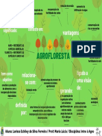 Mapa Conceitual - Agrofloresta