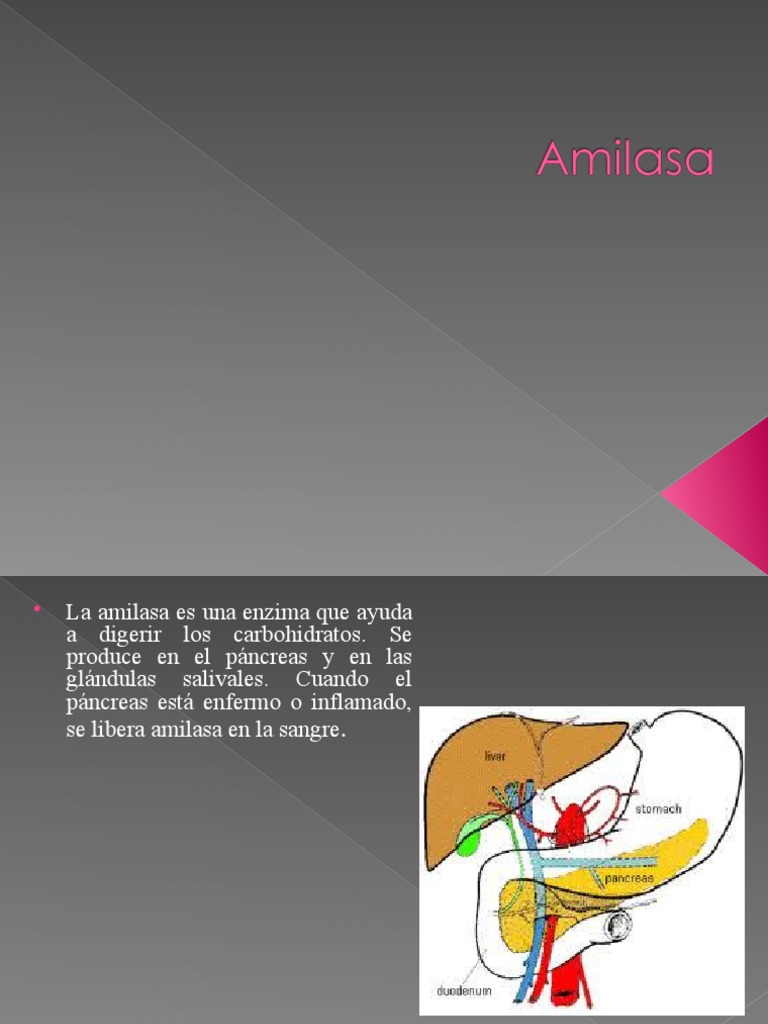 Amilasa y Lipasa PDF