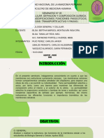 Membrana Celular. Definición y Composición Química. Estructura, Modificaciones. Funciones. Fagocitosis, Pinocitosis. Transporte Activo y Pasivo.