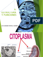 Citoplasma. Estructura y Funciones. Organoides Citoplasmáticos. Retículo Endoplasmático. Estructura y Funciones.