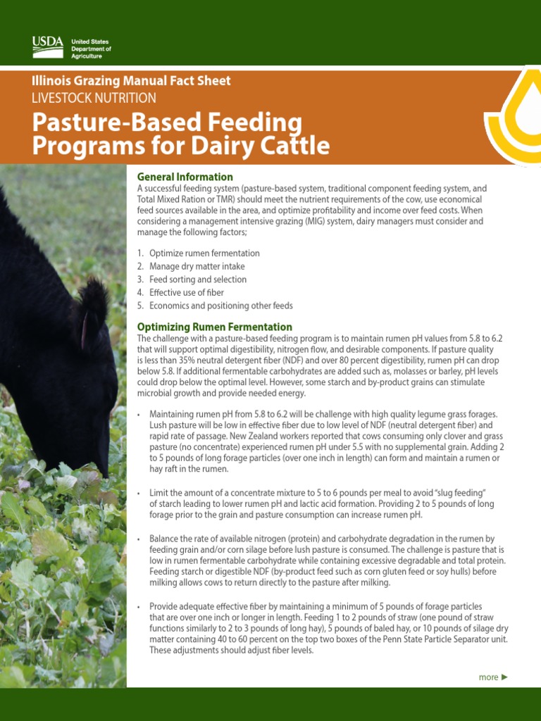 Pasture Based Feeding Programs Dairy Cattle PDF Cattle Dairy Cattle