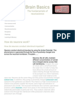 Neurotransmitters and Receptors