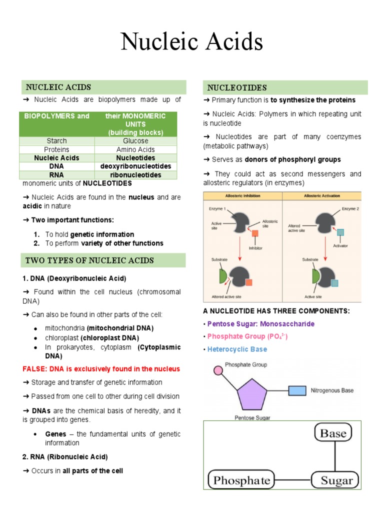 Nucleotides And Nucleic Acids Pdf – GEYNRG