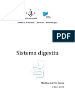 Sistema Digestiu