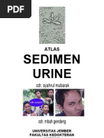 Download Atlas Sedimen Urine by Nur Rahmat Wibowo SN62252592 doc pdf