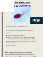 Pseudomonas: Gram Negative Rods