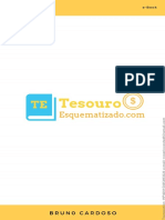 E Book Tesouro Esquematizado 20