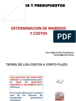 Determinacion de Ingresos Y Costos