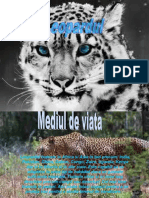 leopardul