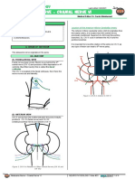 Abducens Nerve Cranial Nerve VI Atf