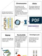 Genetics Revision of Terms Cards
