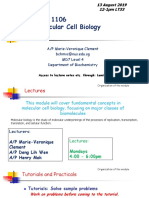 1 - Intro:Acid Base