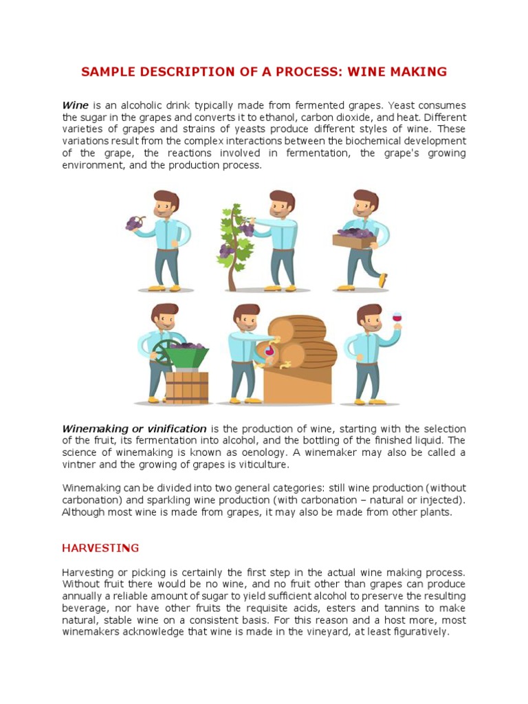 Wine Making Download Free PDF Winemaking Fermentation In Winemaking