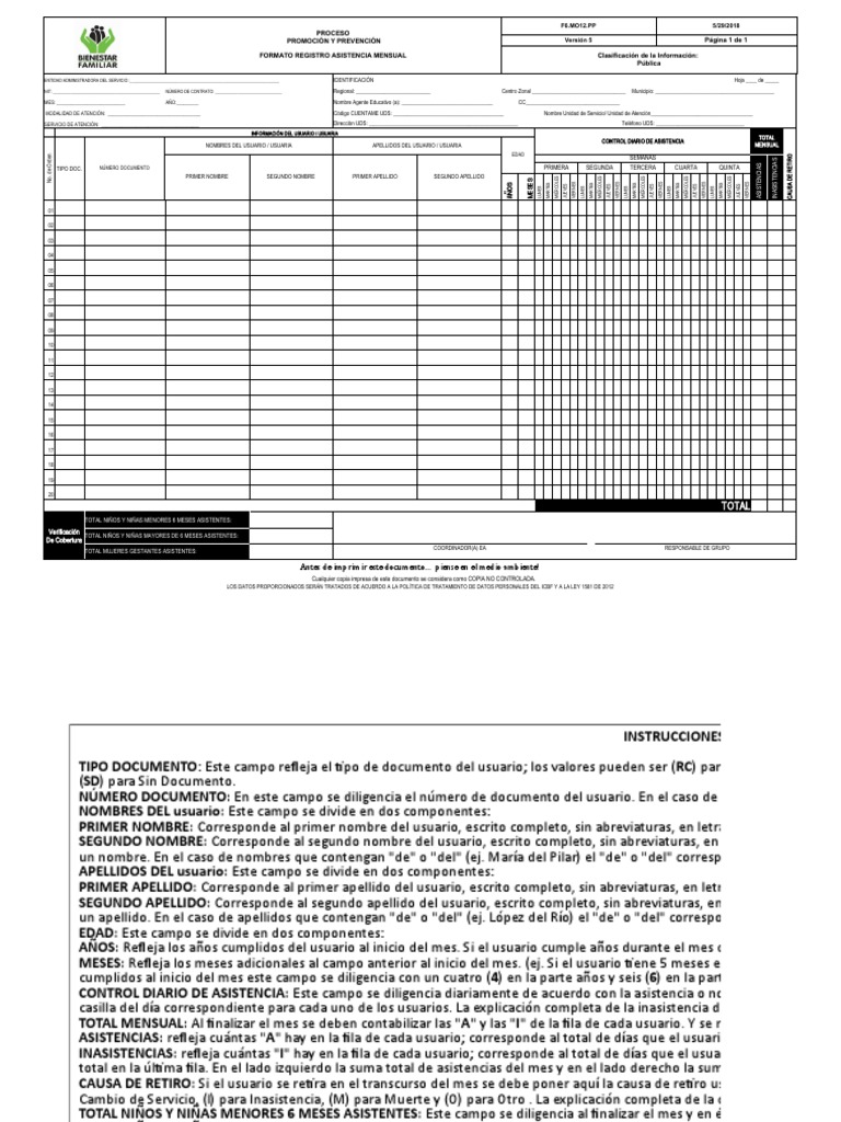 Formato Ram v5 6.06.2018 | PDF
