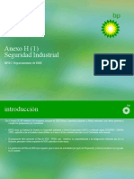 Anexo - Seguridad - Industrial BP