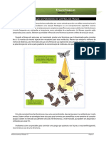 Ficha Trabalho 19 - Feromonas