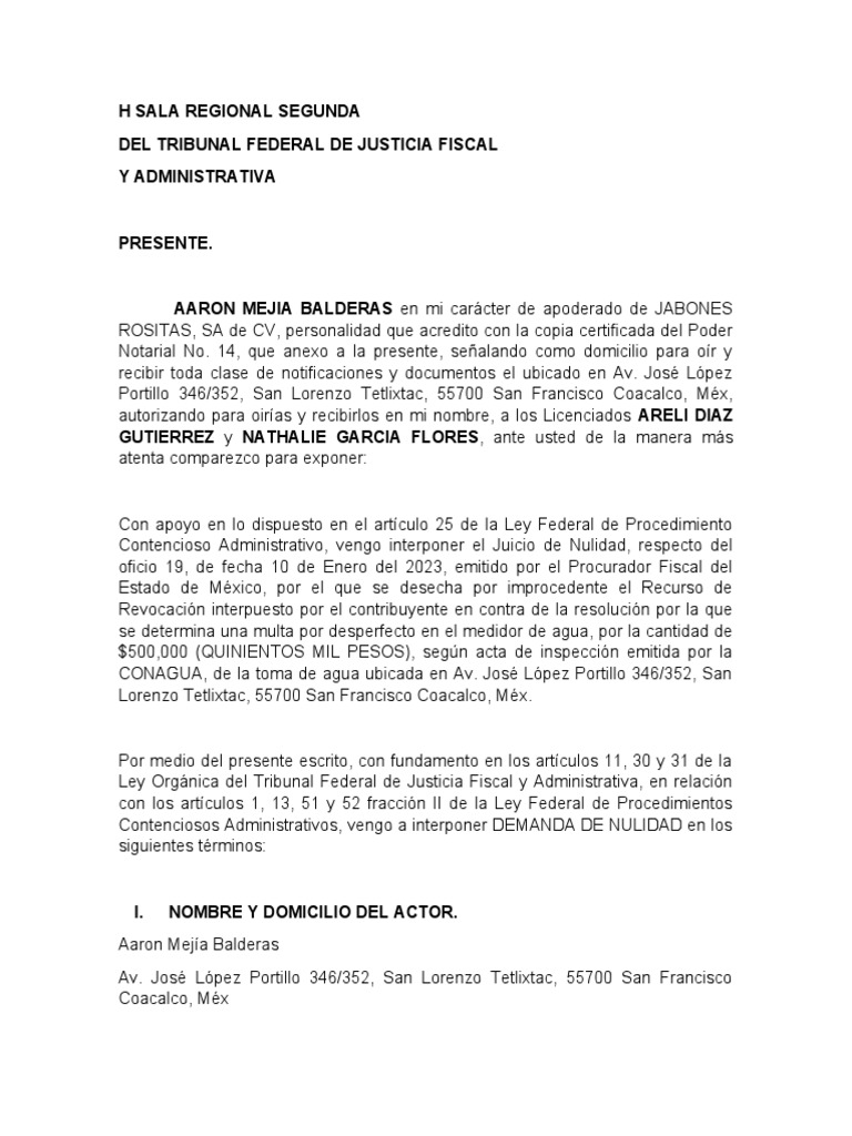 Demanda de Juicio de Nulidad | PDF | Castigos | Multa (pena)
