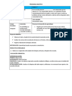 Programa Analítico 2