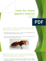 Invasão Vespas Asiáticas